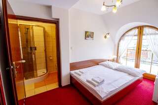 Отель Hotel Stary Młyn Козегловы Двухместный номер с 1 кроватью или 2 отдельными кроватями-5